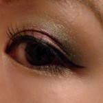 Christmas Party Makeup 2011 1