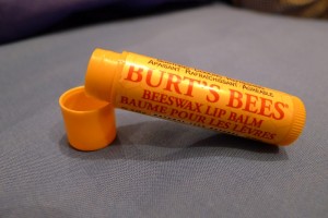 Burts Bees Lip Balm Review 2