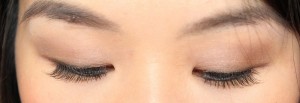 FOTD - Day Smoky Eye 2