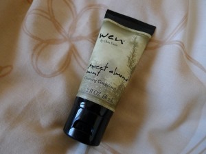 Wen Almond Mint Cleansing Conditioner Review 1