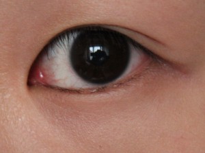 Majolica Majorca Lash Expander Frame Plus Mascara Review 5