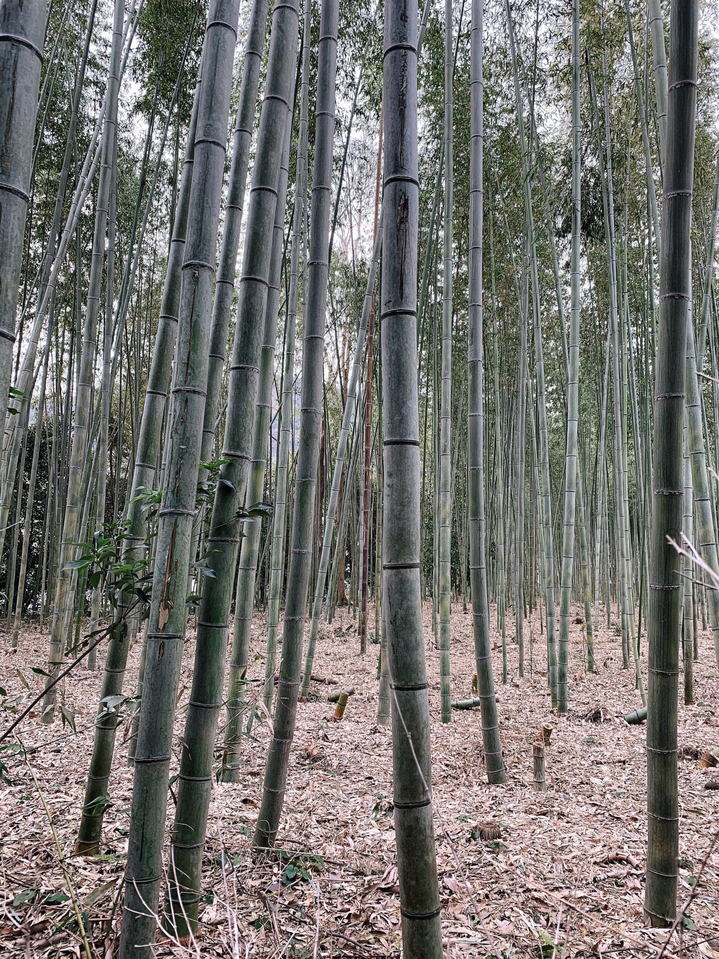 Processed with VSCO with a6 preset